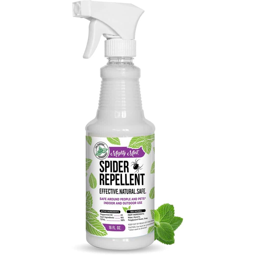 1. Spider Repellents