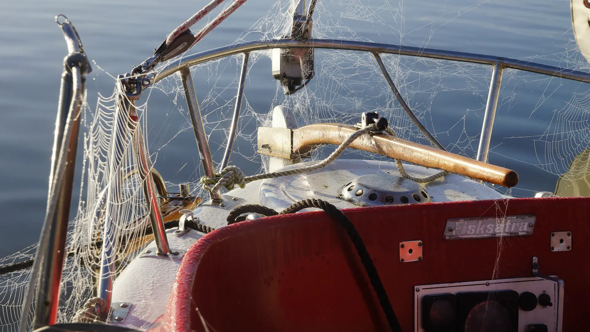 Benefits Of Preventing Spiders On Boats