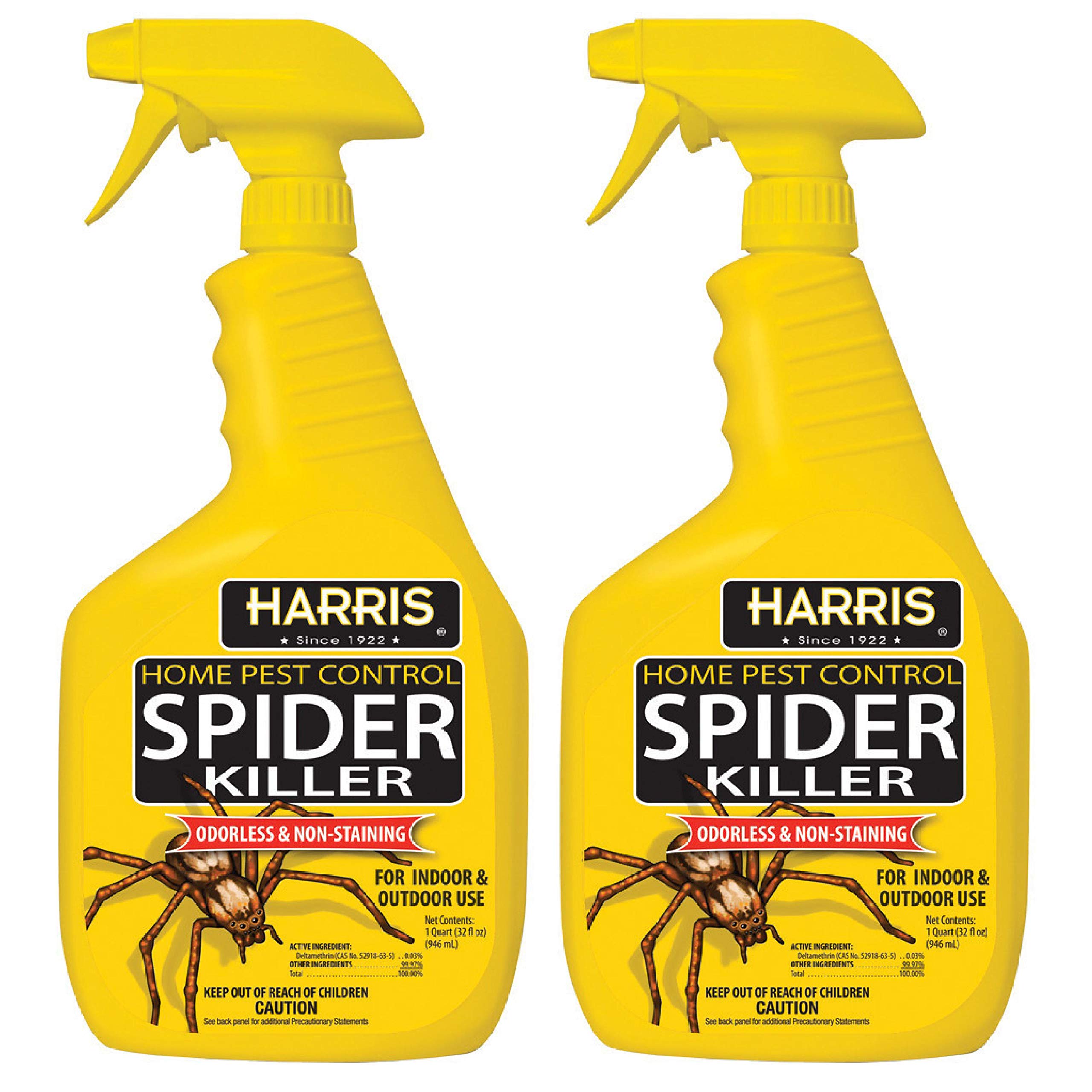 STAR BRITE Spider & Bird Stain Remover