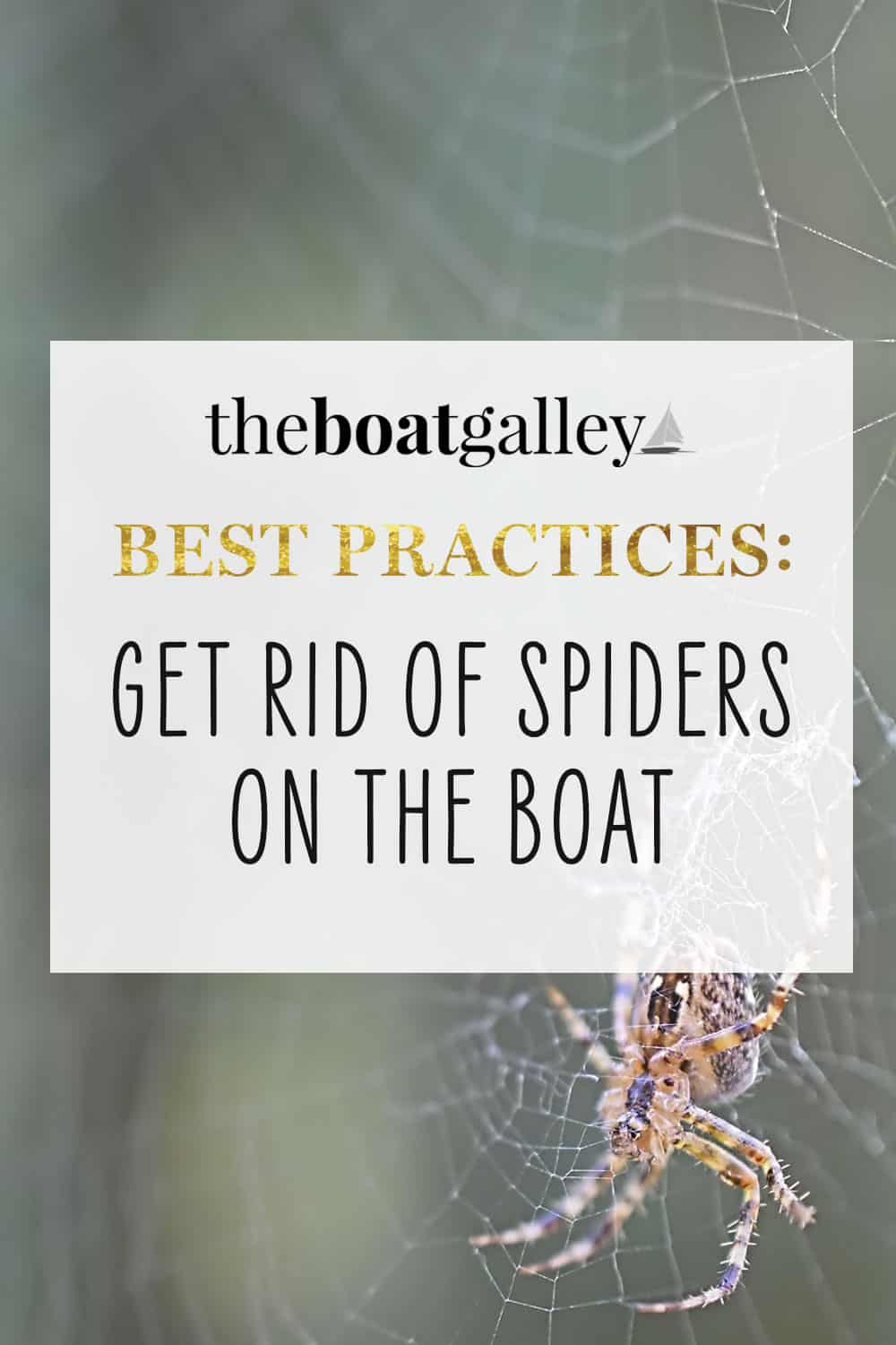 Different Methods Of Keeping Spiders Off Boats