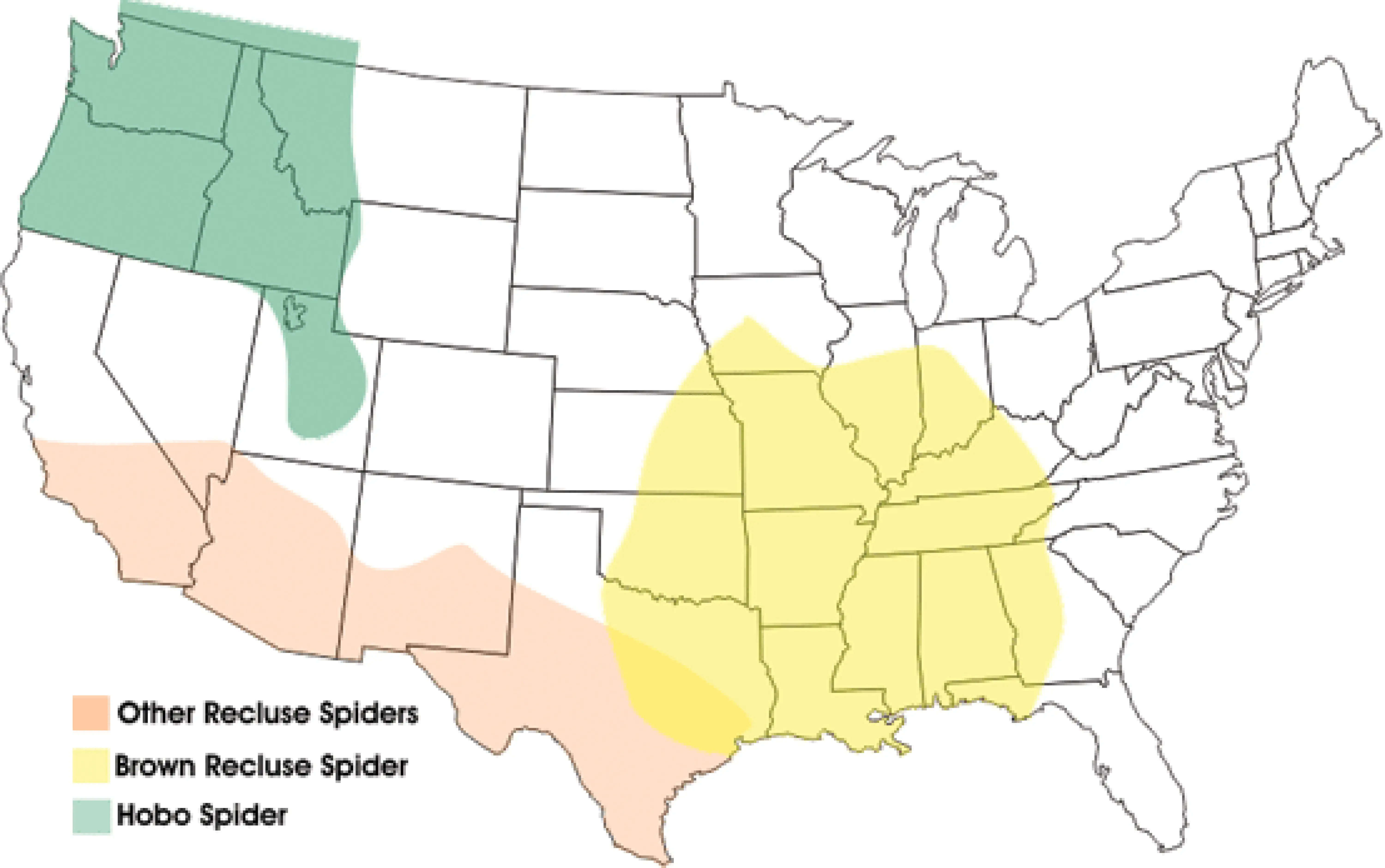 Distribution Of Spiders In Washington State