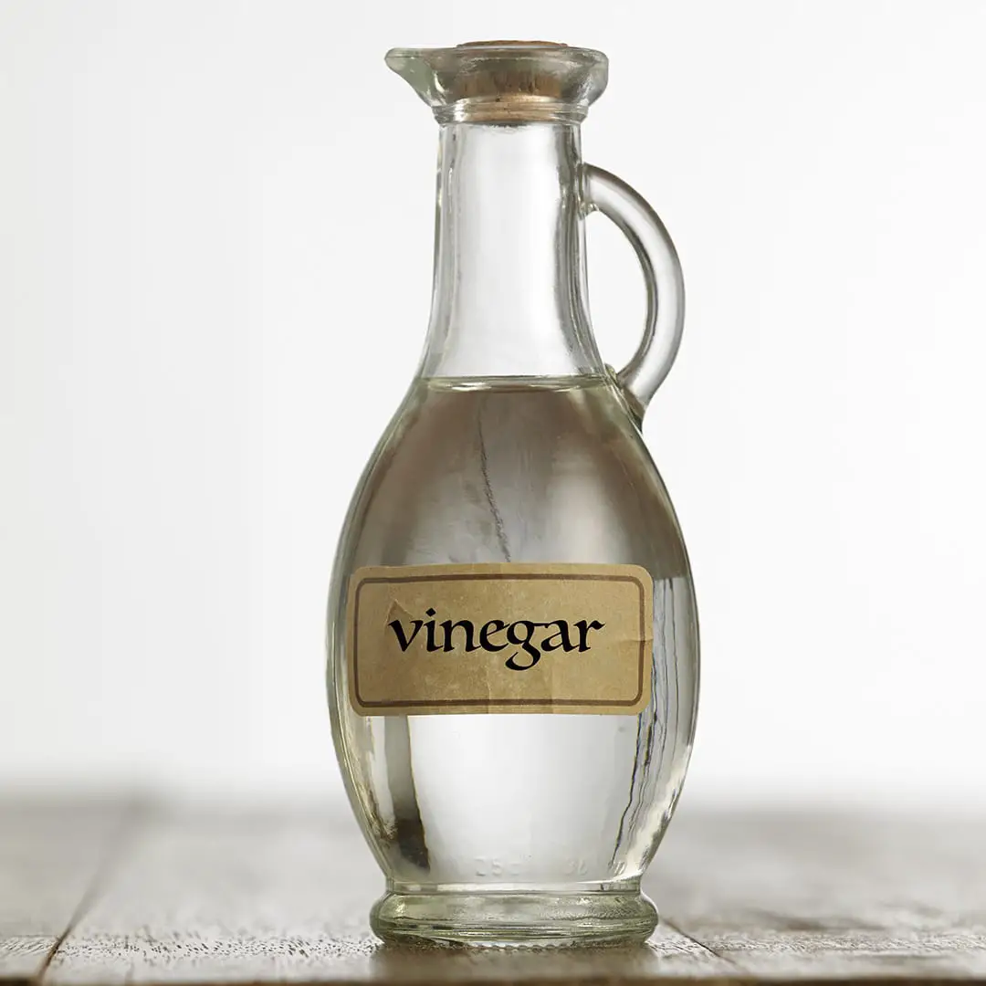 How To Use Vinegar To Kill Spiders