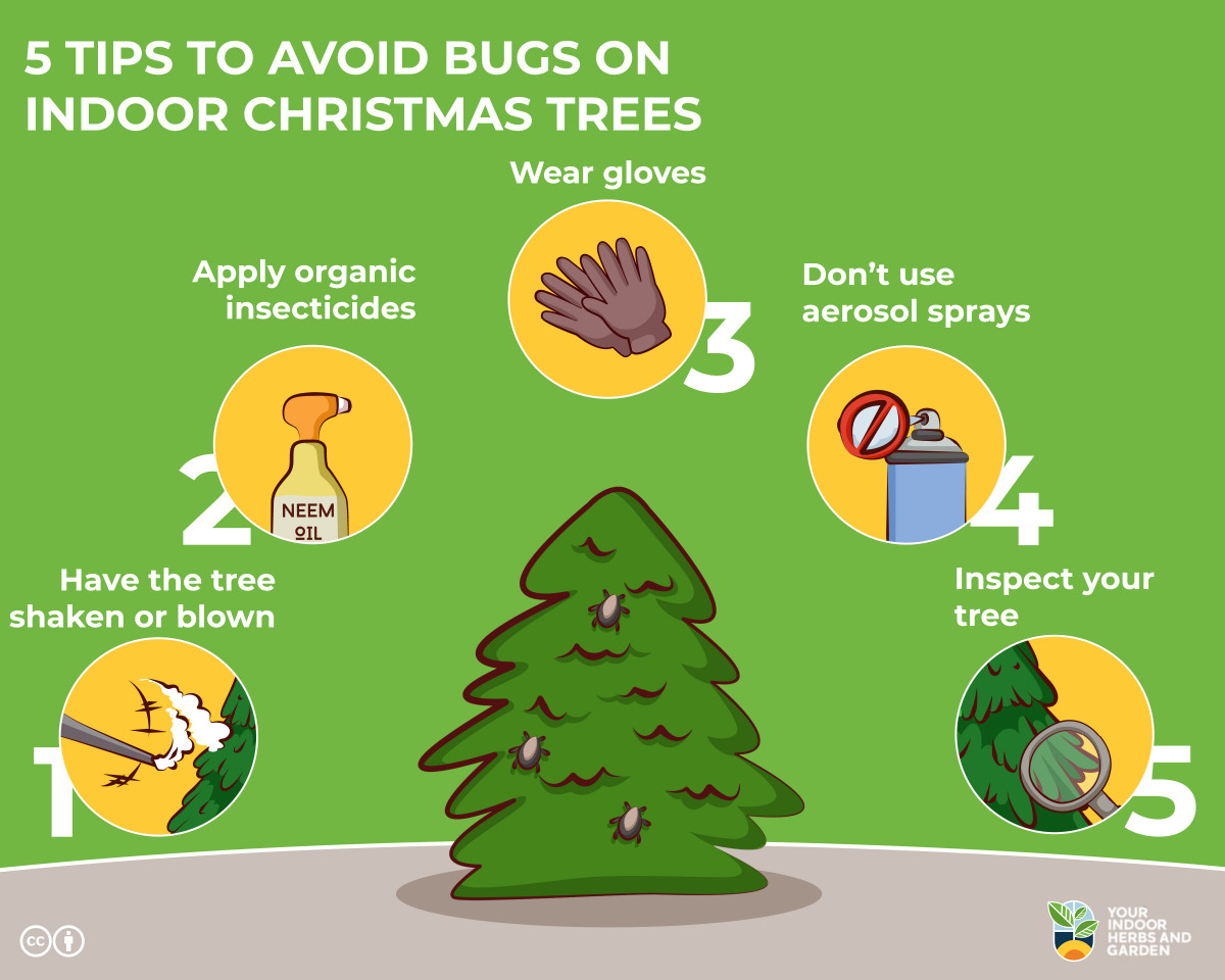 Natural Remedies To Get Rid Of Spiders On Christmas Trees