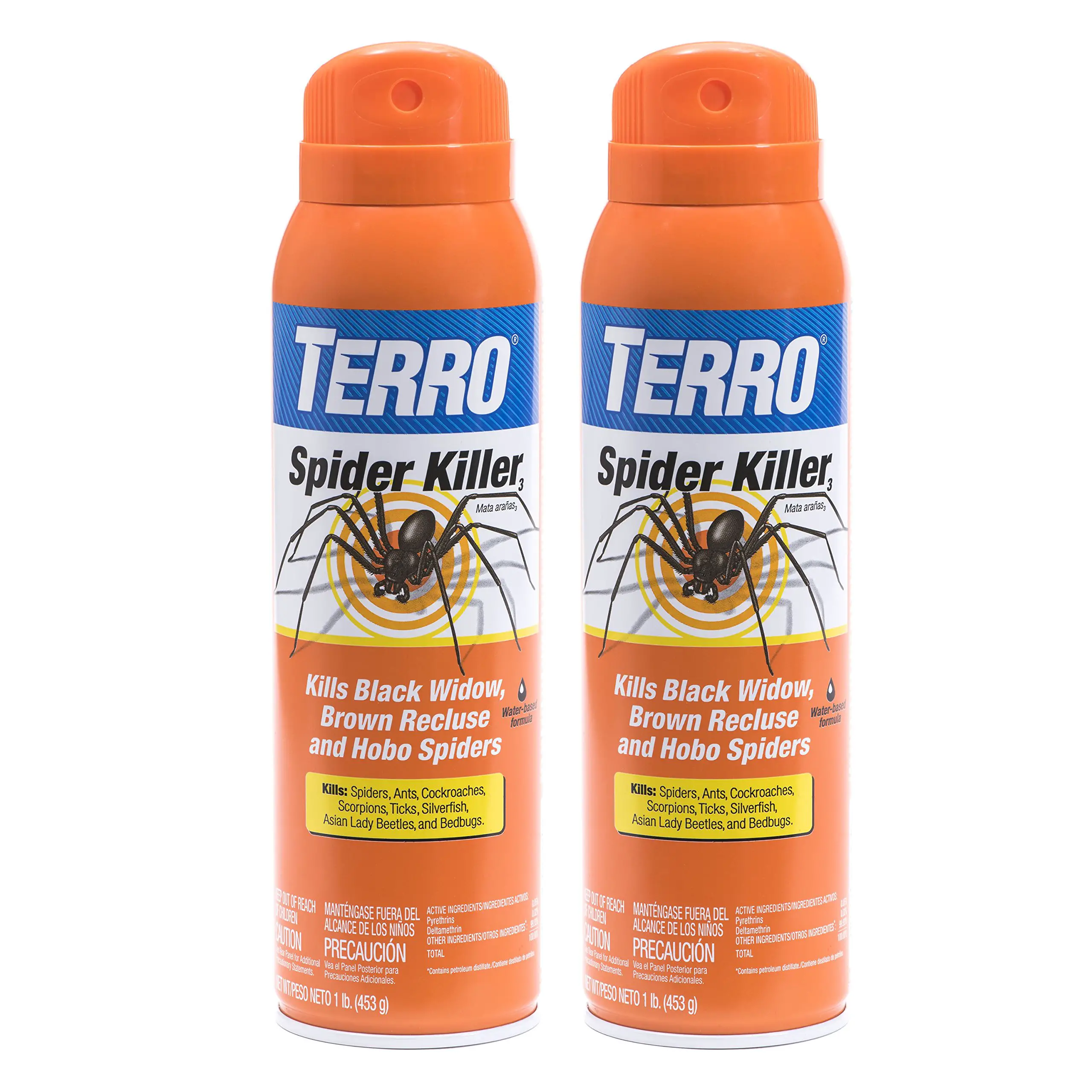 Non-Chemical Options For Killing Spider Eggs