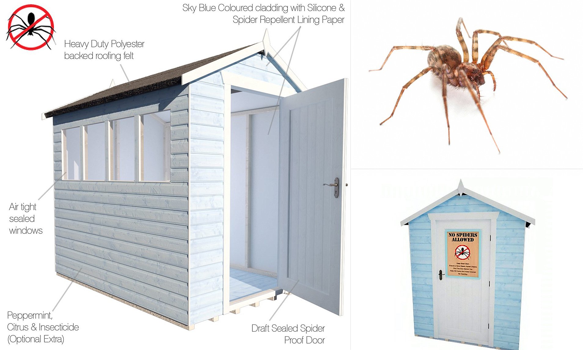 Prevent Spiders From Entering Your Shed