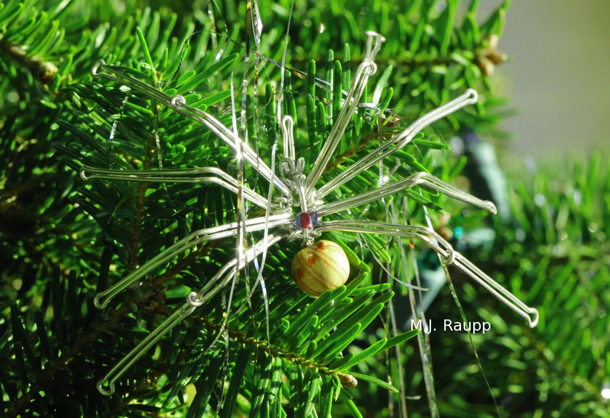 Why Do Spiders Like Christmas Trees?
