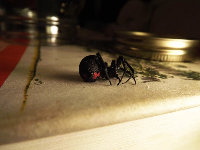 Black Widow Spiders' Reproduction In Captivity