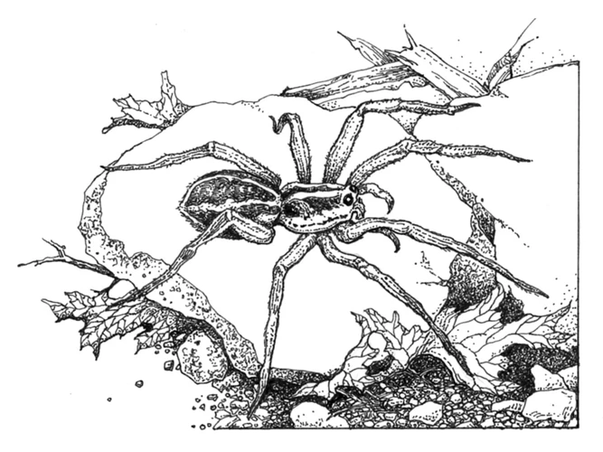 Defensive Techniques Against Predators