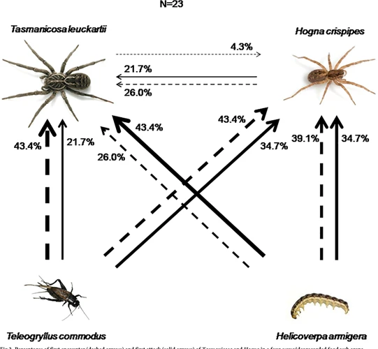 Factors Affecting Predation Risk Assessment