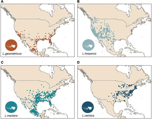 Geographical Distribution Patterns