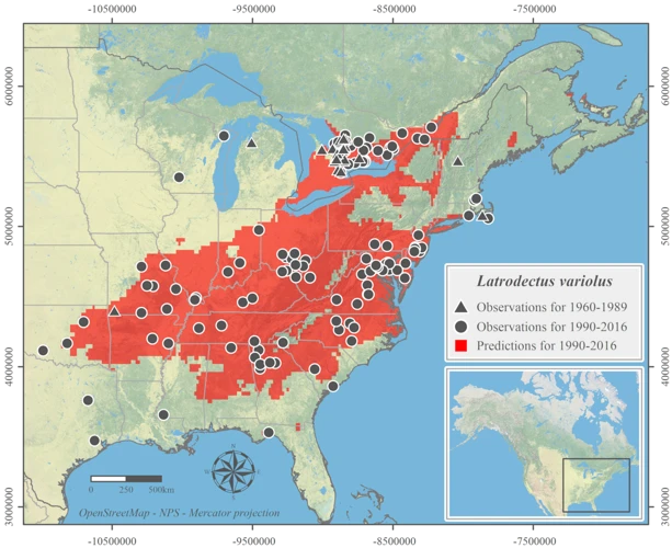 How Climate Change May Affect The Distribution Of Black Widow Spiders