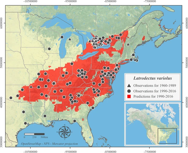 Mapping The Distribution Of Black Widow Spiders