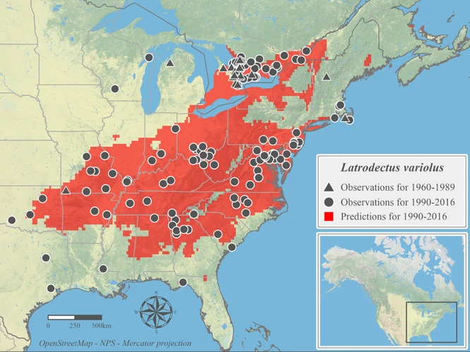 Projected Changes In Black Widow Spider Distribution