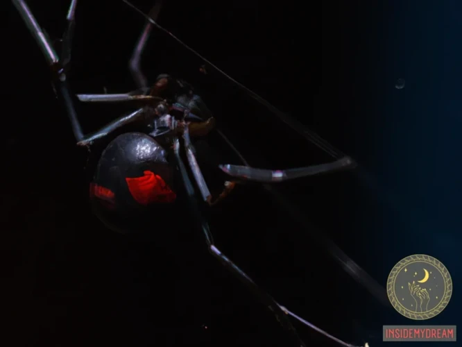 The Link Between Black Widow Spiders And Modern Witchcraft