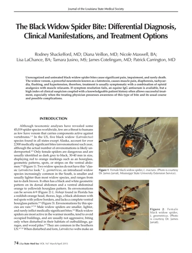 Treatment For A Black Widow Spider Bite