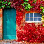 unlocking-the-secrets-to-finding-your-perfect-door-title